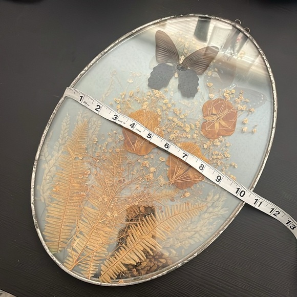 Wall Art dried butterflies and flowers Set of 2 - Picture 9 of 9